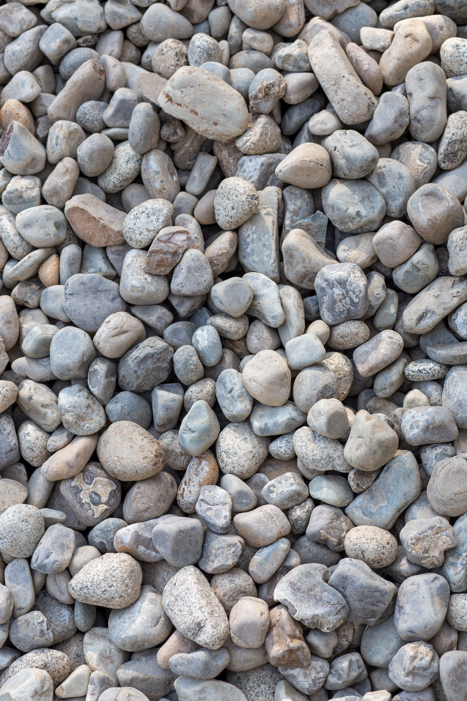 Small River Rocks for Home Decor, 120 oz